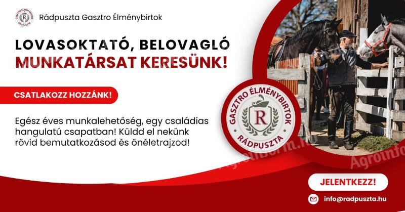 Lovasoktató,  belovagló munkatársat keresünk