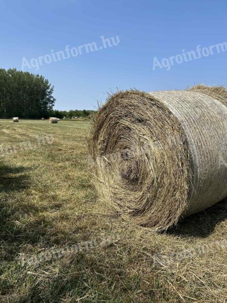 Széna bála eladó – friss és tavalyi széna, sásos széna is kapható