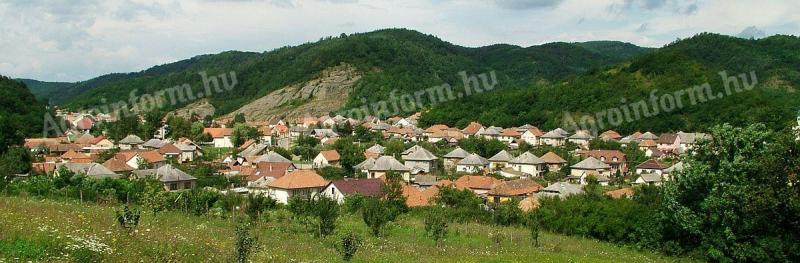 Eladó erdő Istenmezején,  Heves vármegye