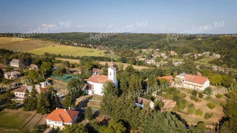 Eladó erdő Milejszegen,  Zala megyében