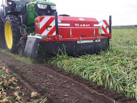 AMAC LKU FRONT / HÁTSÓ,  vagy KOMBI függesztésű hagyma szárzúzó AMAC LKU FRONT / HÁTSÓ,  vagy KOMBI függesztésű hagyma szárzúzó