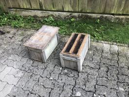 Méhanya pároztató kaptárok eladók