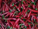 Nyers csípős fűszerpaprika eladó