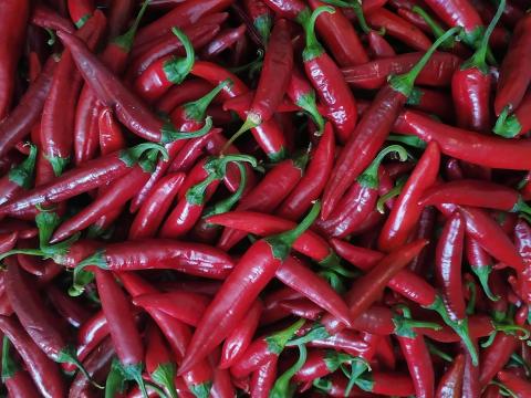 Nyers csípős fűszerpaprika eladó Nyers csípős fűszerpaprika eladó