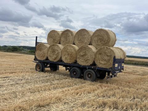 Búzaszalma körbála eladó Búzaszalma körbála eladó