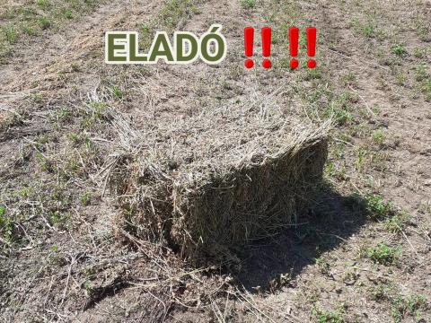 Kisbálás lucerna és szalma eladó Kisbálás lucerna és szalma eladó