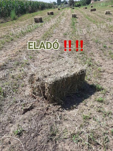 Kisbálás szalma eladó