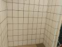 Baromfitelep eladó madárinfluenza-mentes területen
