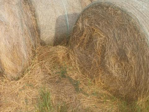 Körbálás széna eladó Körbálás széna eladó