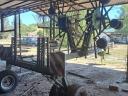 Krone Swadro rendsodró eladó