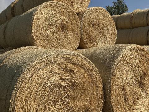 Szalma körbála eladó - kiváló minőségű búza szalma Szalma körbála eladó - kiváló minőségű búza szalma