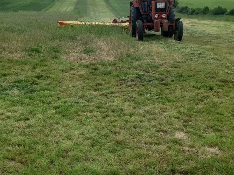 Niemeyer 310 kasza Niemeyer 310 kasza