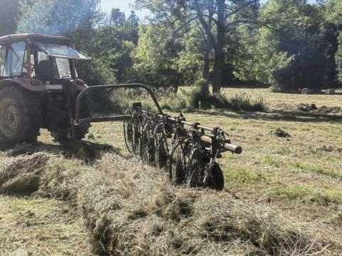 Eladó rendsodró 7 csillagos Eladó rendsodró 7 csillagos