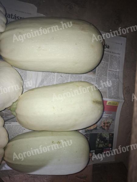 Spárgatök frissen termelőtől Csatárban