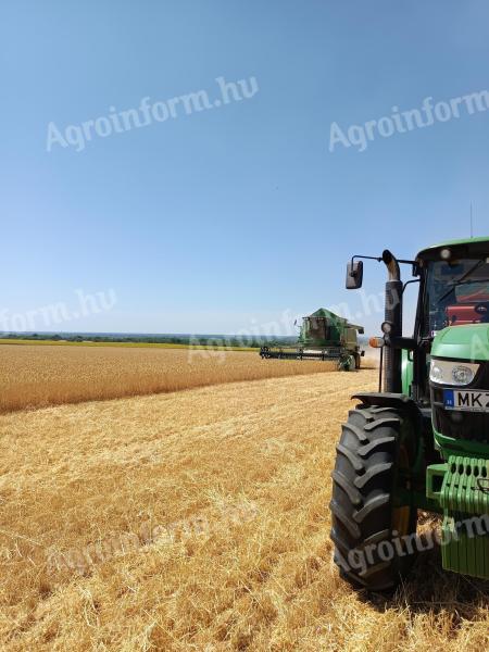 Gépkezelő állást keresek mezőgazdasági vagy erdészeti területen Pest vármegyében