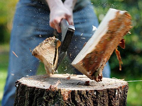 Fűkaszálás és favágás Komárom, Fejér, Pest, Győr-Moson megyékben (Óriási kedvezmény) Fűkaszálás és favágás Komárom, Fejér, Pest, Győr-Moson megyékben (Óriási kedvezmény)