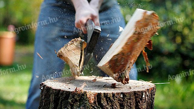 Fűkaszálás és favágás Komárom, Fejér, Pest, Győr-Moson megyékben (Óriási kedvezmény)