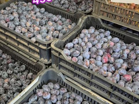 Stanley szilva, szentes Stanley szilva, szentes