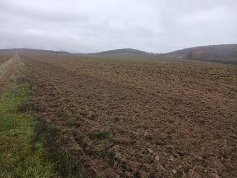 63 ha szántó bérbeadó 63 ha szántó bérbeadó