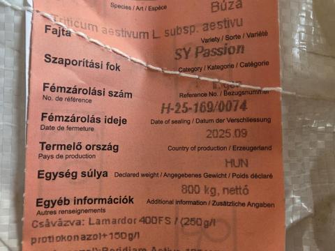Őszibúza vetőmag eladó – SY Passion, SU Cameleon, KWS Stromboli Őszibúza vetőmag eladó – SY Passion, SU Cameleon, KWS Stromboli