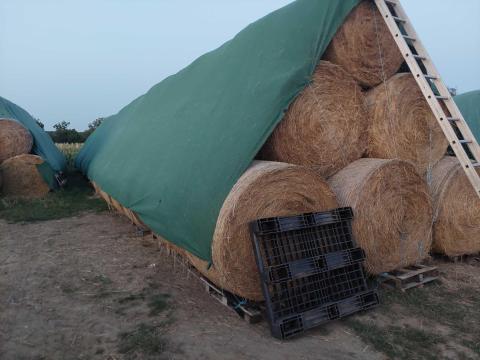 Széna bála Széna bála