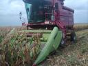 Claas kukorica adapter eladó, 5 soros, jó állapotban
