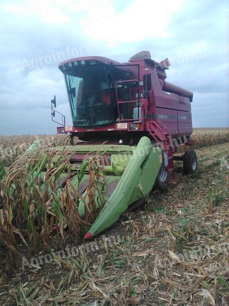 Claas kukorica adapter eladó, 5 soros, jó állapotban