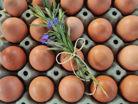 Étkezési tojás szabadtartásból Étkezési tojás szabadtartásból