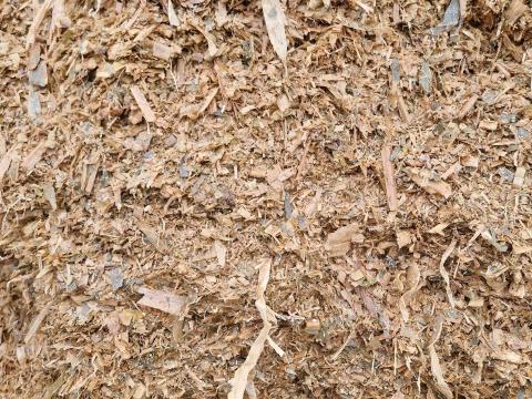 Kiváló minőségű kukoricaszilázs eladó kamiontételben Kiváló minőségű kukoricaszilázs eladó kamiontételben