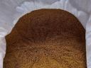 Lucernamag