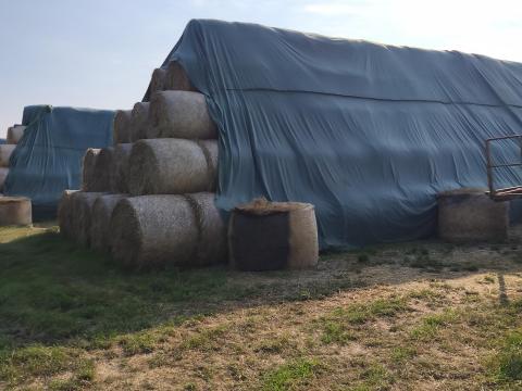 Szalma bála eladó – Ázásmentes 120x155 szalmabála rakodva Szalma bála eladó – Ázásmentes 120x155 szalmabála rakodva