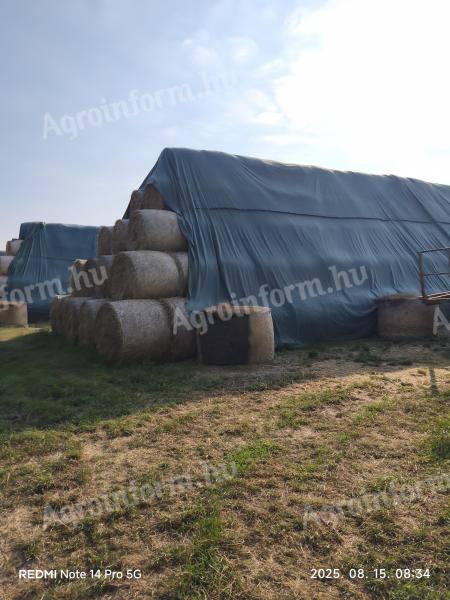 Szalma bála eladó – Ázásmentes 120x155 szalmabála rakodva