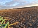 John Deere grúber, 11 késes, 4 méteres, jó állapotban, elmunkálóval