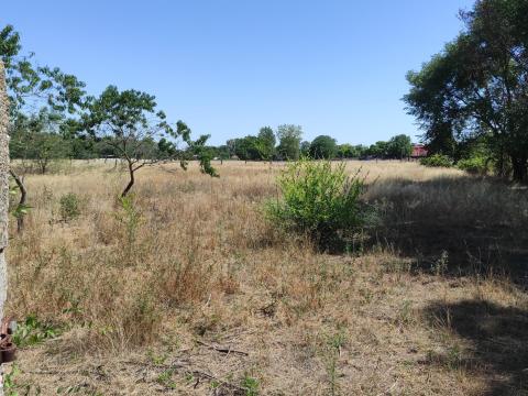 Felújítandó tanya és szántó eladó Kelebián – nagy telek, csendes környezet Felújítandó tanya és szántó eladó Kelebián – nagy telek, csendes környezet