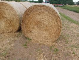 Körbálás szalma eladó – 500 db, 120x160 cm-es bálák Claas Variant bálázóval