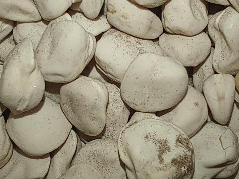 Szegletes lednek, kombájntiszta, I. fokú Éva fajta eladó Szegletes lednek, kombájntiszta, I. fokú Éva fajta eladó