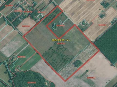 Eladó 13 ha szántó és gyümölcsös Cegléden Eladó 13 ha szántó és gyümölcsös Cegléden