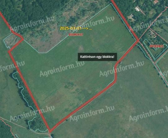 18 ha szántó eladó Lajosmizsén