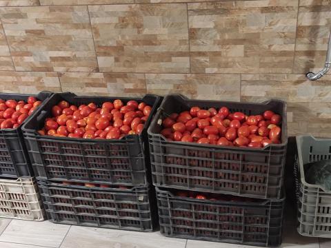 Eladó paradicsom!!! Eladó paradicsom!!!