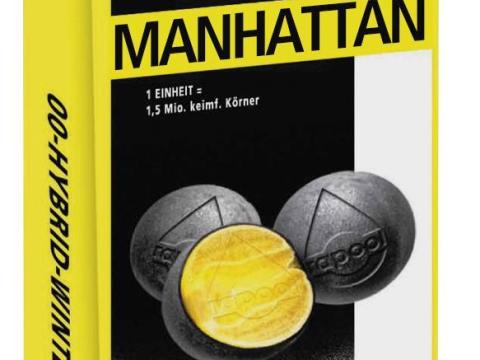 MANHATTAN repce vetőmag – kimagasló terméshozam és alkalmazkodóképesség