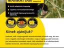 MANHATTAN repce vetőmag – kimagasló terméshozam és alkalmazkodóképesség