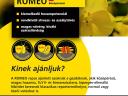 ROMEO repce vetőmag – nagy hozam, kiváló ellenálló-képesség