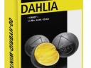 DAHLIA repce vetőmag - stabilan magas hozam,  kiegyensúlyozott ellenállóság