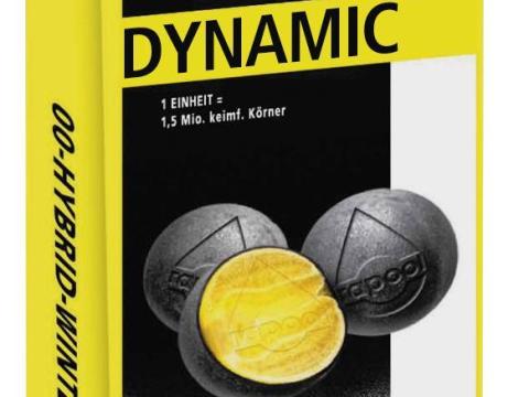 DYNAMIC repce vetőmag - magas hozam és olajtartalom minden körülmény között DYNAMIC repce vetőmag - magas hozam és olajtartalom minden körülmény között