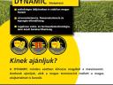 DYNAMIC repce vetőmag - magas hozam és olajtartalom minden körülmény között