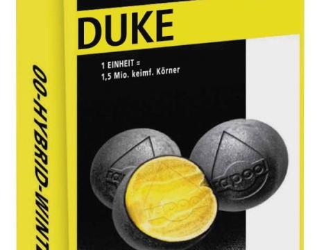 DUKE repce vetőmag - magas olajtartalom és rendkívüli életerő DUKE repce vetőmag - magas olajtartalom és rendkívüli életerő