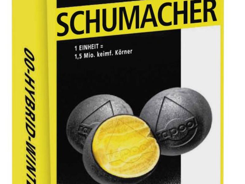 SCHUMACHER repce vetőmag - forradalmi innovációnk,  a RUNNER szegmens legfontosabb szereplője