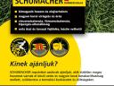 SCHUMACHER repce vetőmag - forradalmi innovációnk,  a RUNNER szegmens legfontosabb szereplője