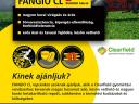 FANGIO CL repce vetőmag - az első RUNNER típusú Clearfield-hibridünk