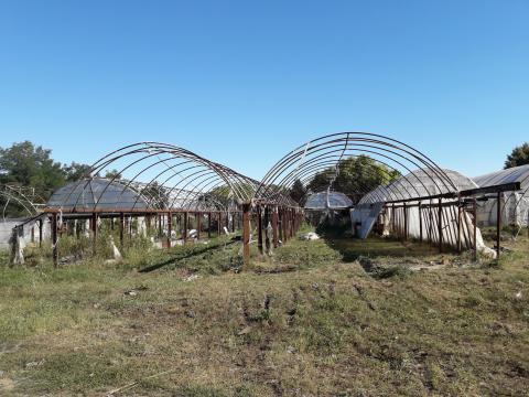 Fóliasátor eladó Fóliasátor eladó